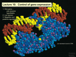 Lecture 10: Control of gene expression