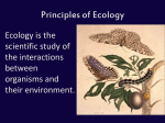 Ecology Notes Part 1 for Ecology Test 1
