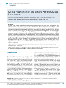 Kinetic mechanism of the dimeric ATP sulfurylase from plants