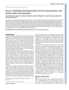 Runx1 modulates developmental, but not injury