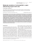 Molecular evolution of microcephalin, a gene determining human