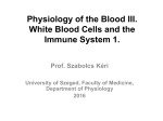 Physiology of the Blood III. White Blood Cells and the Immune