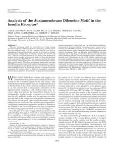 Analysis of the Juxtamembrane Dileucine Motif in the Insulin Receptor