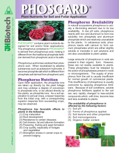 Phosphorus Nutrition Phosphorus Availability