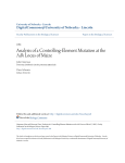 Analysis of a Controlling-Element Mutation at the Adh Locus of Maize