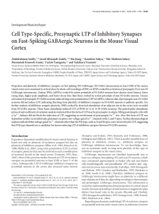 Cell Type-Specific, Presynaptic LTP of Inhibitory Synapses on Fast