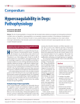 Hypercoagulability in Dogs: Pathophysiology