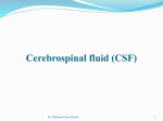 Cerebrospinal fluid (CSF)
