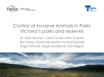 Control of Invasive Animals in Parks Victoria`s parks and reserves