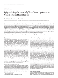 Epigenetic Regulation ofbdnfGene Transcription in the