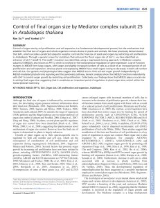 Control of final organ size by Mediator complex subunit 25 in