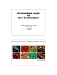lecture1 immune concepts cells.pptx