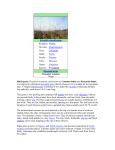 Scientific classification Kingdom: Plantae Division: Magnoliophyta