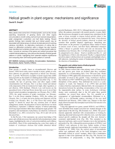 Helical growth in plant organs: mechanisms and