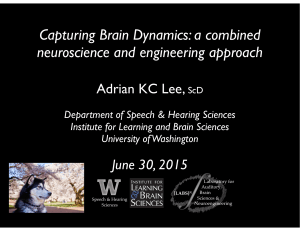 Capturing Brain Dynamics: a combined neuroscience and