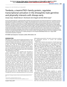 Tombola, a tesmin/TSO1-family protein, regulates