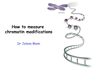 How to measure chromatin modifications