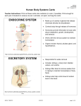 Human Body Systems Cards