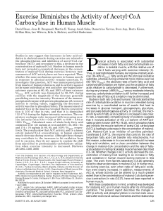 Exercise Diminishes the Activity of Acetyl-CoA Carboxylase