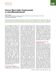 Cancer Stem Cells: Controversial or Just Misunderstood?