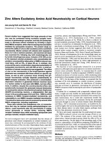 Zinc Alters Excitatory Amino Acid Neurotoxicity on Cortical Neurons