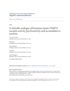 A clickable analogue of ketamine retains NMDA receptor activity