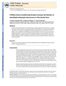 H-reflex down-conditioning greatly increases the number of