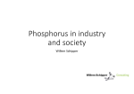 Phosphorus in industry and society