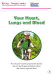 Your Heart, Lungs and Blood