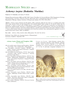 Aethomys ineptus (Rodentia: Muridae) MAMMALIAN SPECIES 809
