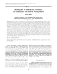 Photosystem II: Its Function, Structure, and Implications for Artificial