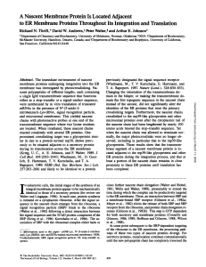 A Nascent Membrane Protein Is Located Adjacent to