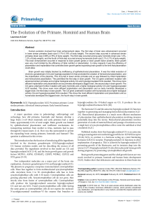 The Evolution of the Primate, Hominid and Human