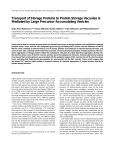 Transport of Storage Proteins to Protein Storage Vacuoles Is