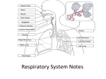 Respiratory Lecture