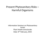 Present Phytosanitary Risks – Harmful Organisms