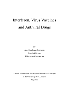 Interferon, Virus Vaccines and Antiviral Drugs