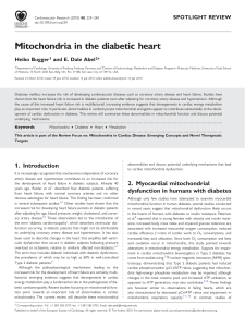 Mitochondria in the diabetic heart
