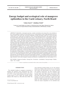 Energy budget and ecological role of mangrove epibenthos in the
