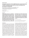 Synergistic interaction of three ERECTA-family