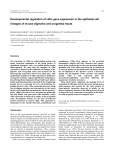 Developmental regulation of villin gene expression in the epithelial