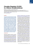 Circadian Regulator CLOCK Is a Histone Acetyltransferase