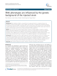 RNAi phenotypes are influenced by the genetic background of the