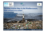Tackling marine litter in the Mediterranean, from research to action