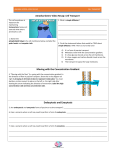 Cell Transport Video Recap