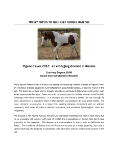 Pigeon Fever 2012: an emerging disease in Kansas
