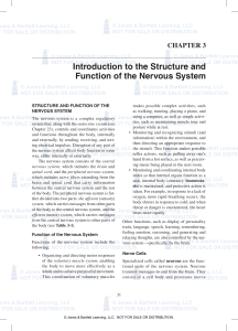 introduction to the Structure and Function of the Nervous System
