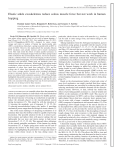 Elastic ankle exoskeletons reduce soleus muscle force but not work