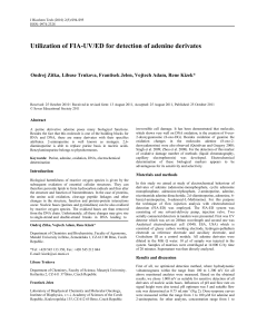 Utilization of FIA-UV/ED for detection of adenine derivates