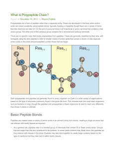 Basic Peptide Bonds